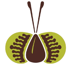 Graines d'ortie Logo